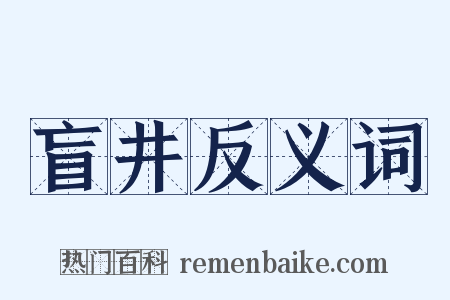 盲井反义词是什么意思的图片